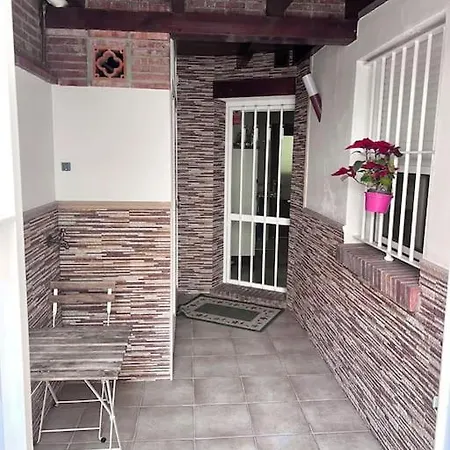 Oasis *